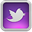 Twitter For Mac Original Icon